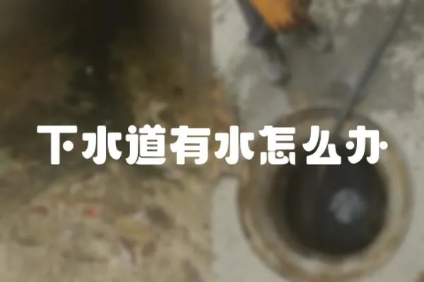 下水道有水怎么辦