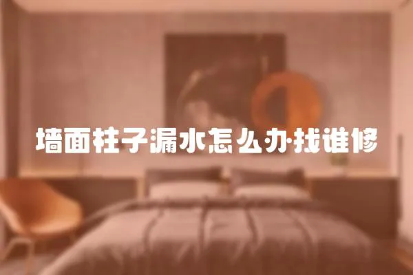墻面柱子漏水怎么辦找誰修