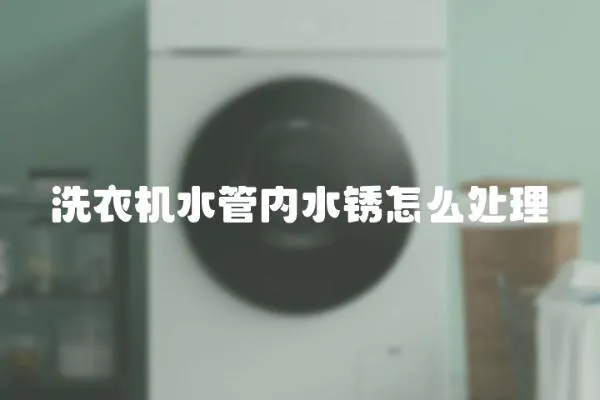 洗衣機水管內水銹怎么處理
