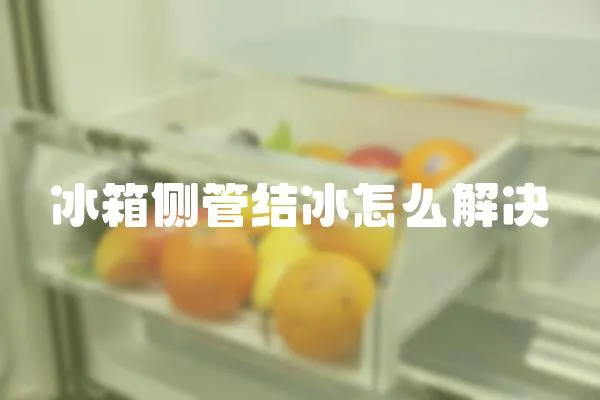 冰箱側管結冰怎么解決