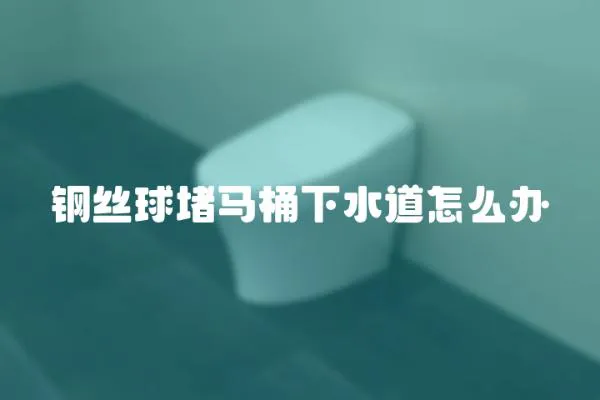 钢丝球堵马桶下水道怎么办