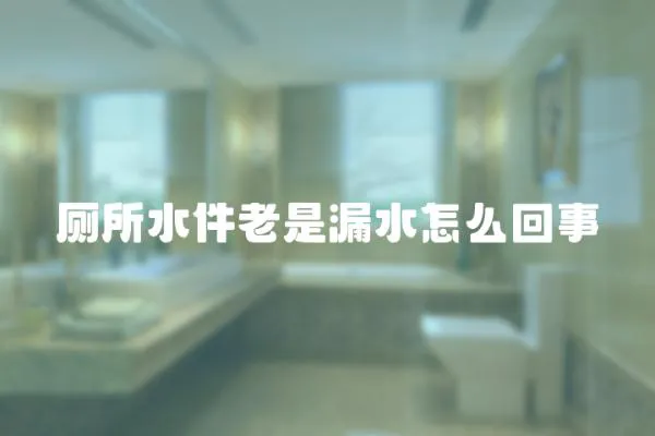 廁所水件老是漏水怎么回事