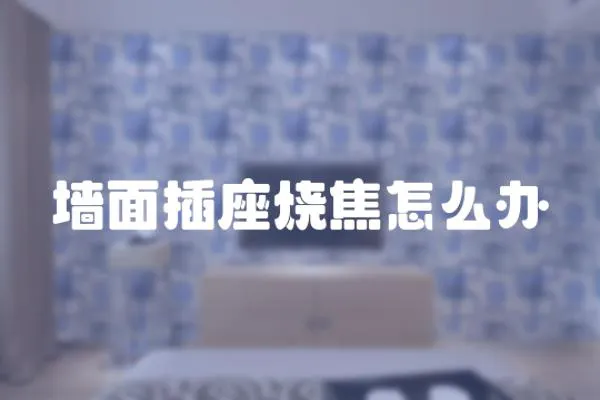 墻面插座燒焦怎么辦