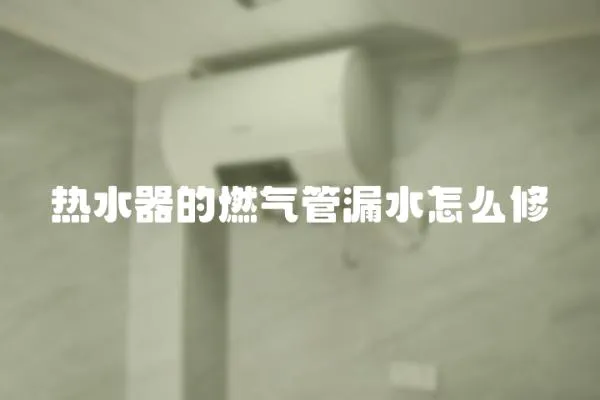 熱水器的燃氣管漏水怎么修