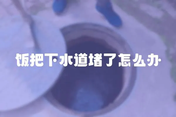 飯把下水道堵了怎么辦