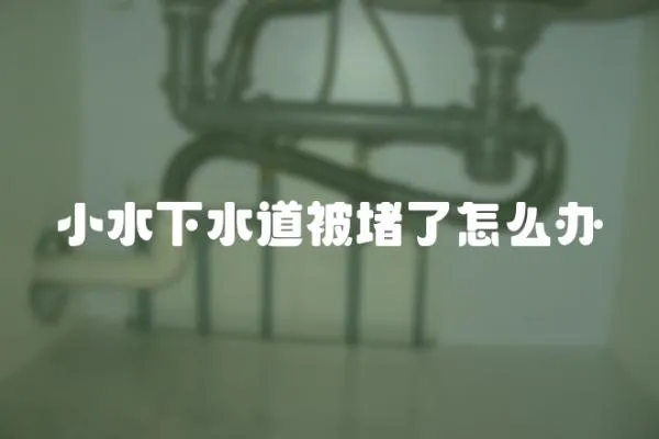 小水下水道被堵了怎么辦
