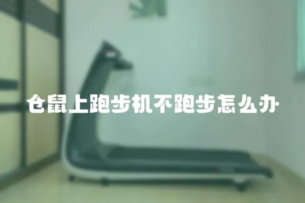 倉鼠上跑步機不跑步怎么辦