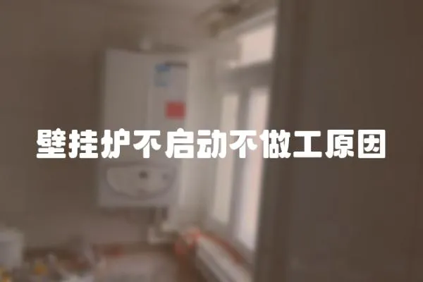 壁掛爐不啟動不做工原因