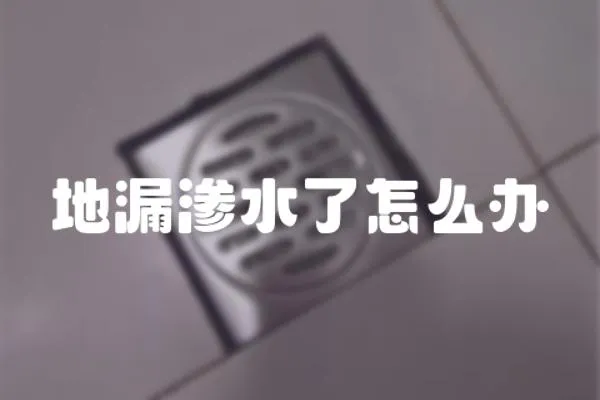 地漏滲水了怎么辦