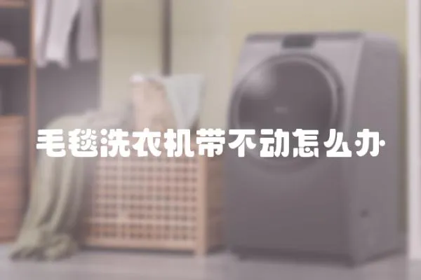 毛毯洗衣機帶不動怎么辦