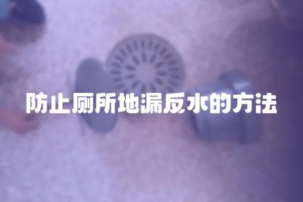 防止廁所地漏反水的方法