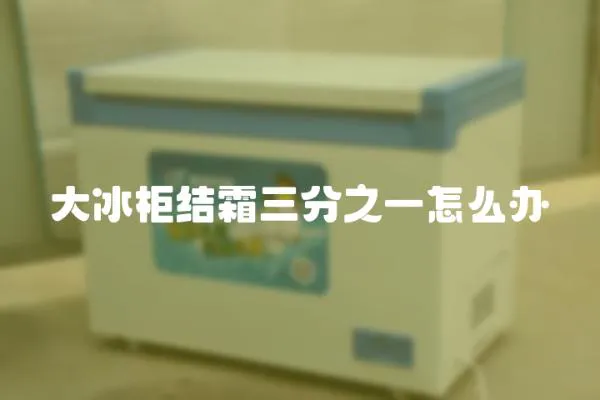 大冰柜結霜三分之一怎么辦