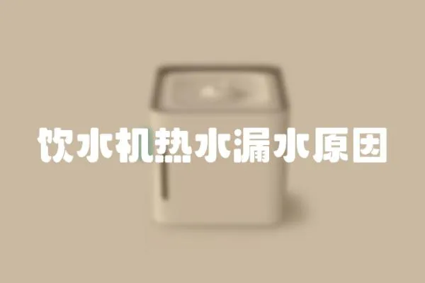 飲水機熱水漏水原因