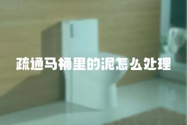 疏通馬桶里的泥怎么處理