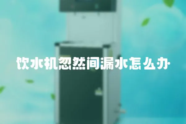 飲水機(jī)忽然間漏水怎么辦
