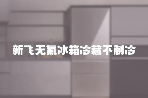 新飛無氟冰箱冷藏不制冷