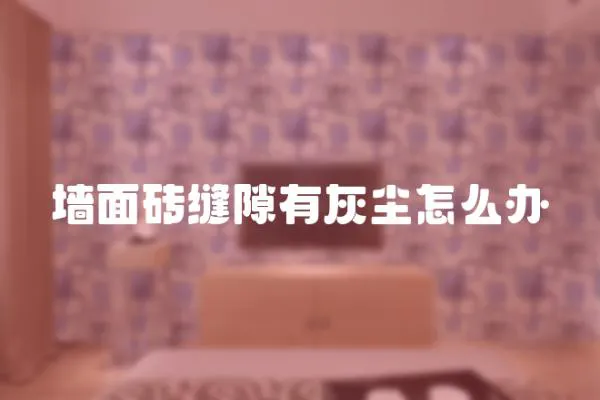 墻面磚縫隙有灰塵怎么辦