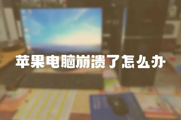 蘋果電腦崩潰了怎么辦