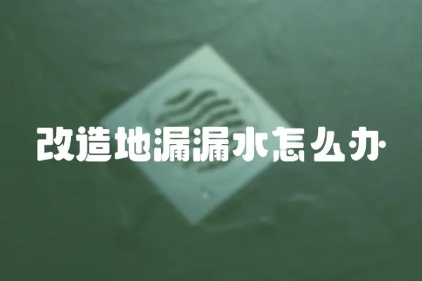 改造地漏漏水怎么辦