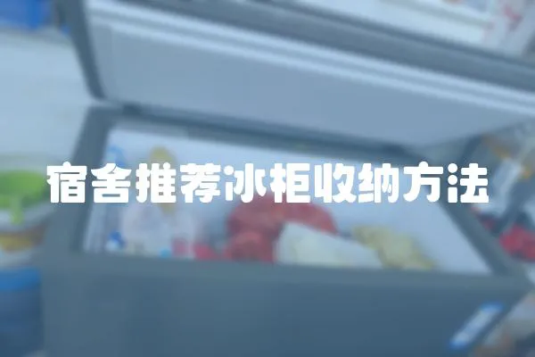 宿舍推薦冰柜收納方法