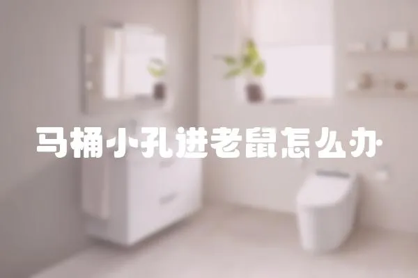 馬桶小孔進老鼠怎么辦