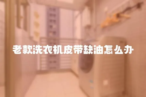 老款洗衣機皮帶缺油怎么辦