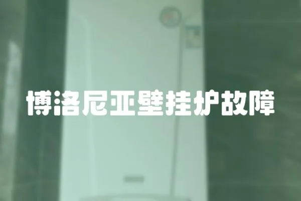 博洛尼亞壁掛爐故障