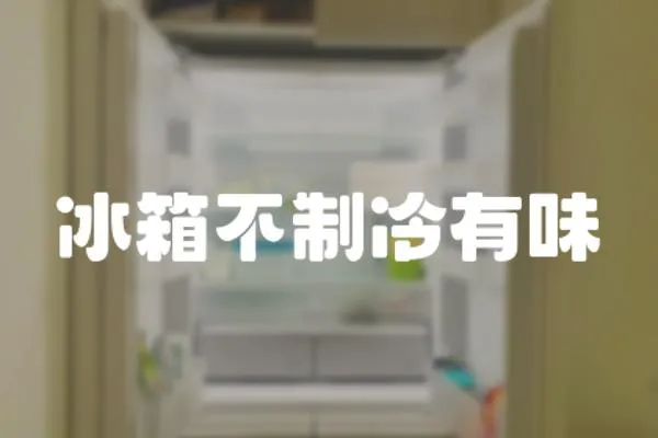 冰箱不制冷有味