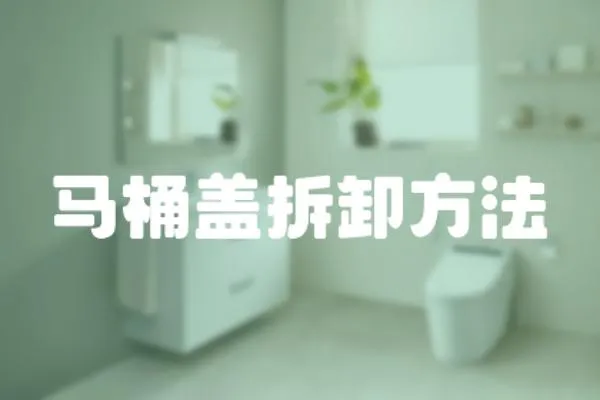 馬桶蓋拆卸方法