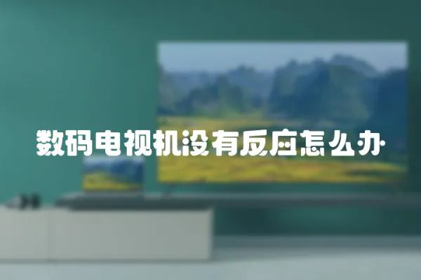 數碼電視機沒有反應怎么辦