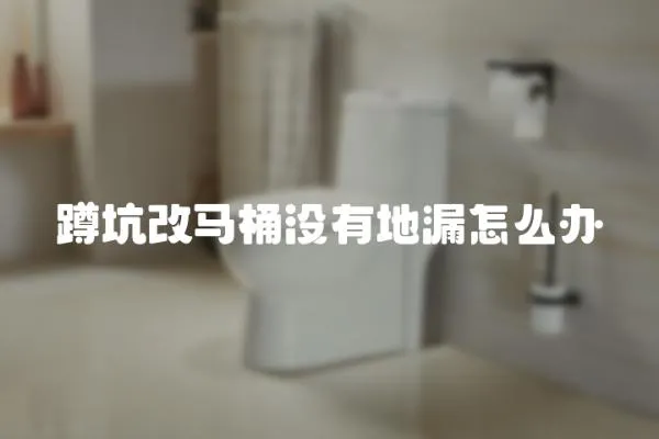 蹲坑改馬桶沒有地漏怎么辦