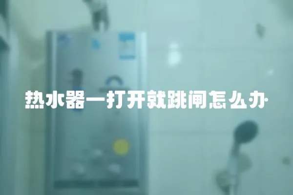 熱水器一打開就跳閘怎么辦