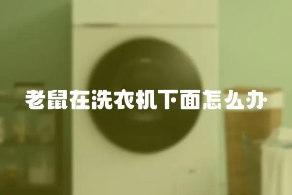 老鼠在洗衣機下面怎么辦