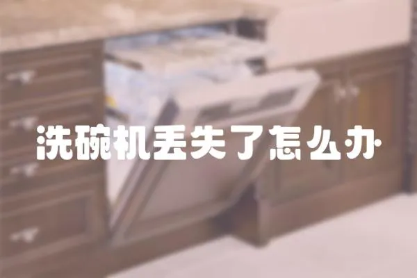洗碗機丟失了怎么辦