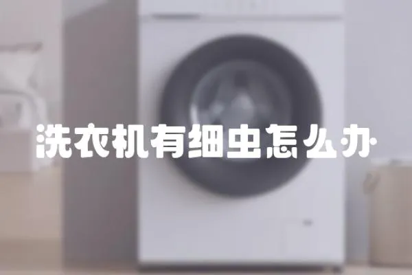 洗衣機有細蟲怎么辦