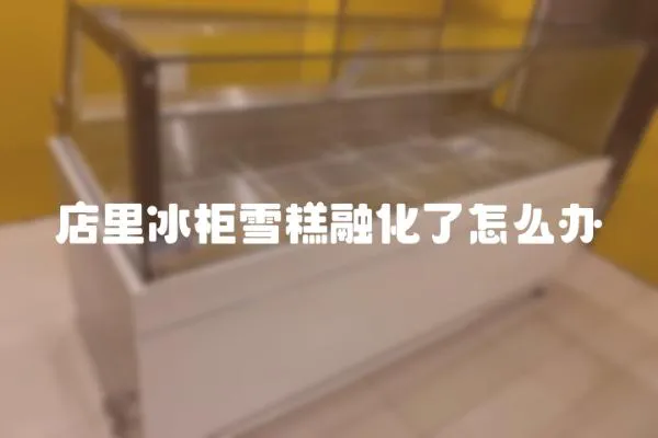 店里冰柜雪糕融化了怎么办