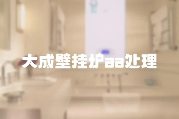 大成壁掛爐aa處理