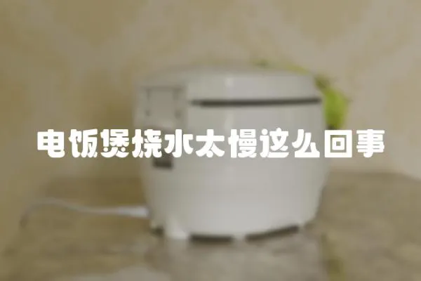 電飯煲燒水太慢這么回事