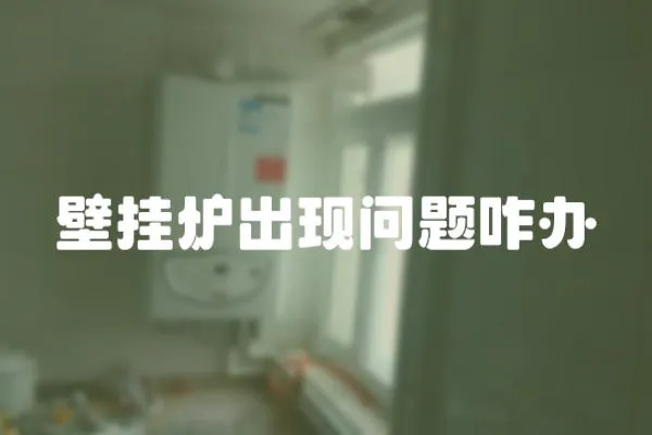 壁掛爐出現問題咋辦