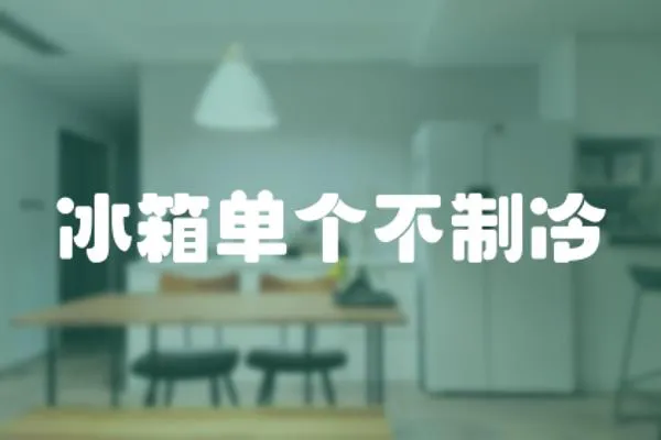 冰箱單個不制冷