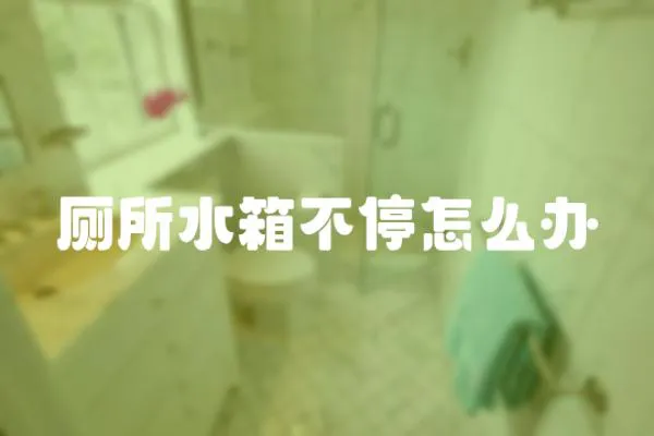 廁所水箱不停怎么辦