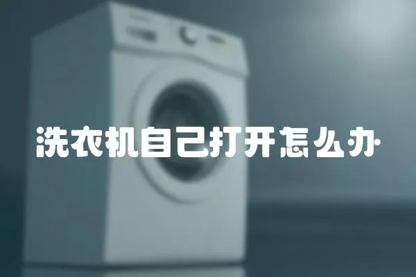 洗衣機(jī)自己打開怎么辦