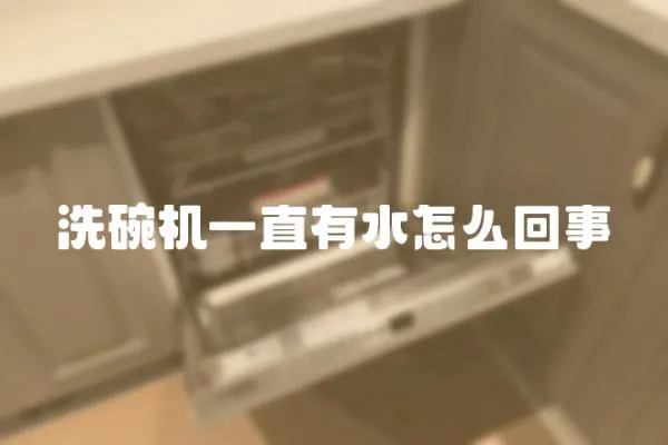 洗碗機一直有水怎么回事