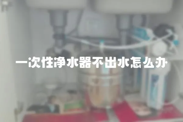 一次性凈水器不出水怎么辦