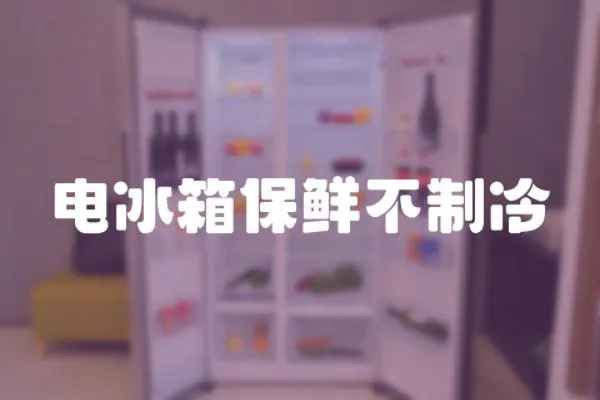 電冰箱保鮮不制冷