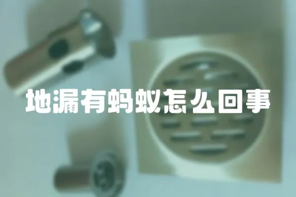 地漏有螞蟻怎么回事