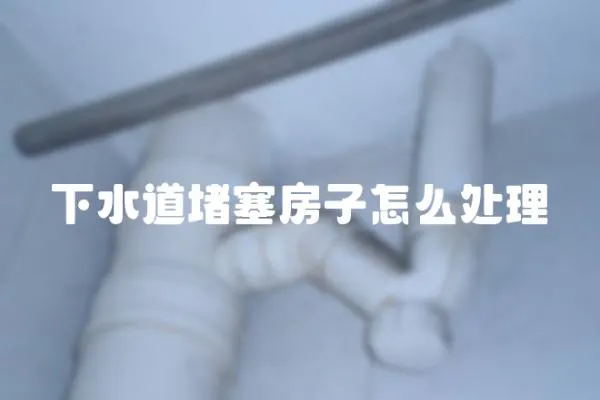 下水道堵塞房子怎么處理