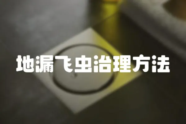 地漏飛蟲治理方法