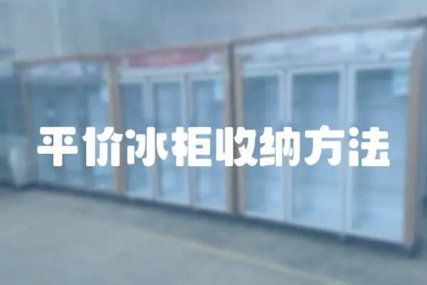 平價冰柜收納方法