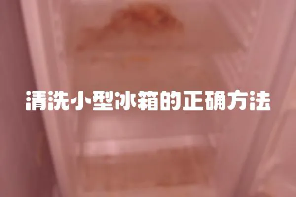 清洗小型冰箱的正確方法